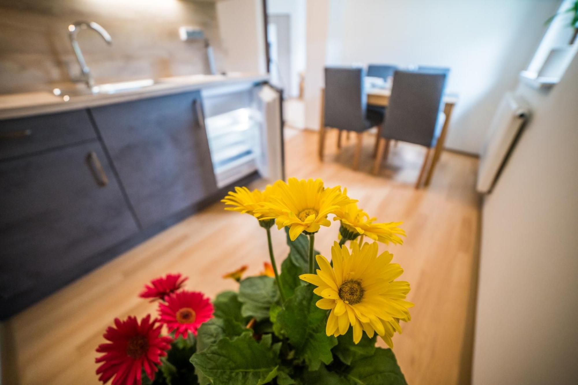 Apartmany Hasicarna Horní Vltavice Exteriér fotografie