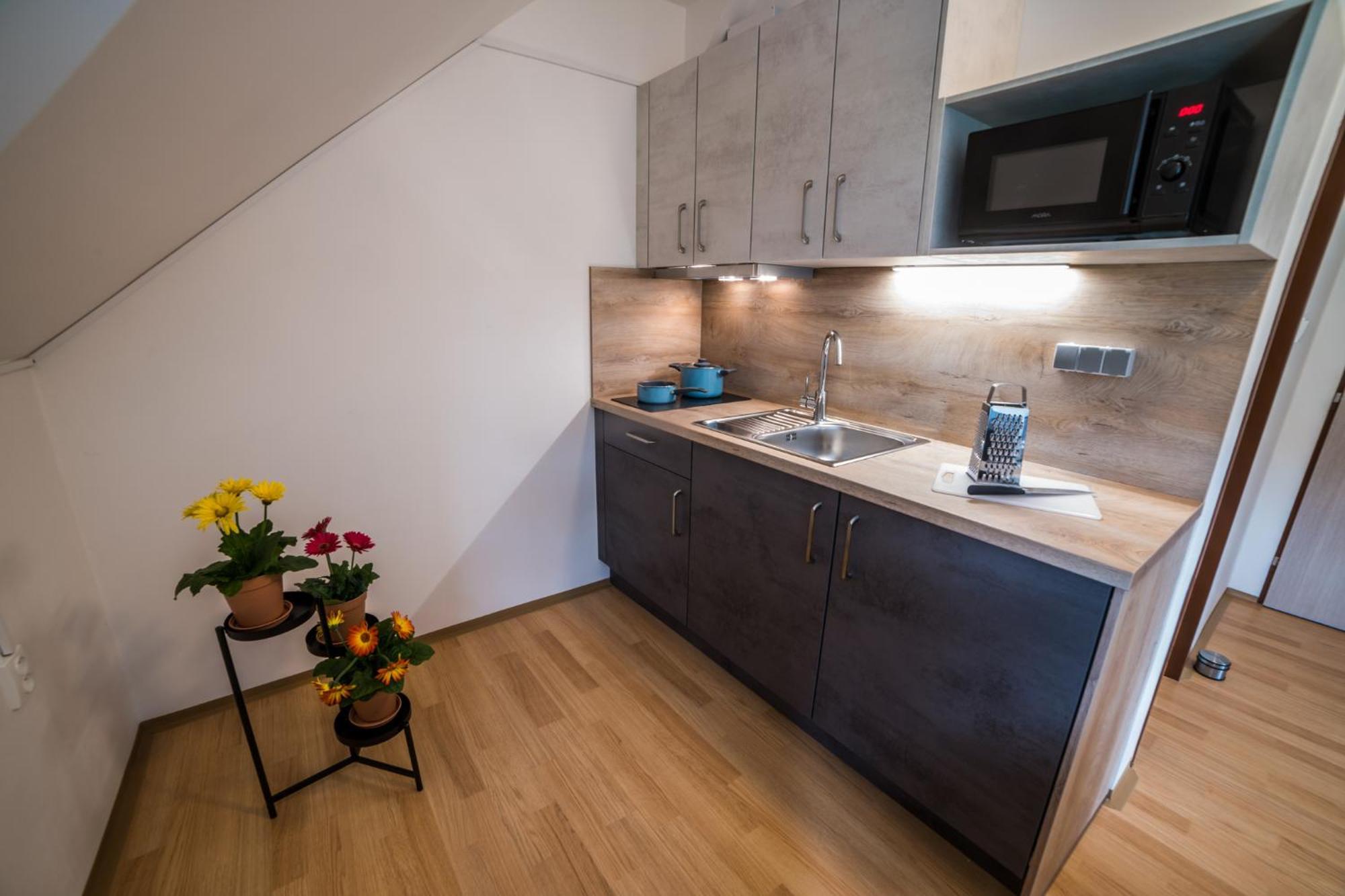 Apartmany Hasicarna Horní Vltavice Exteriér fotografie
